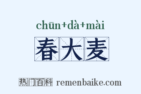 春大麦是什么意思的图片